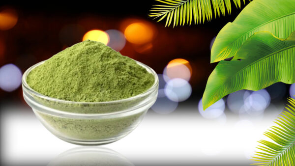 Pure Natural Hinna Powder